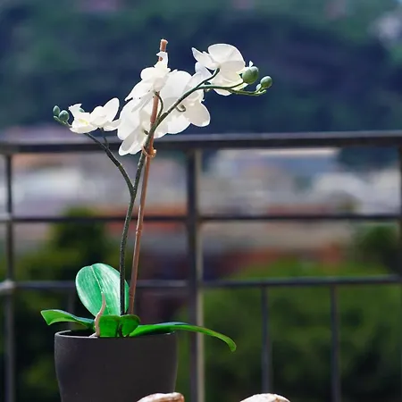 Casa Nelida, Centre شقة سورينتو